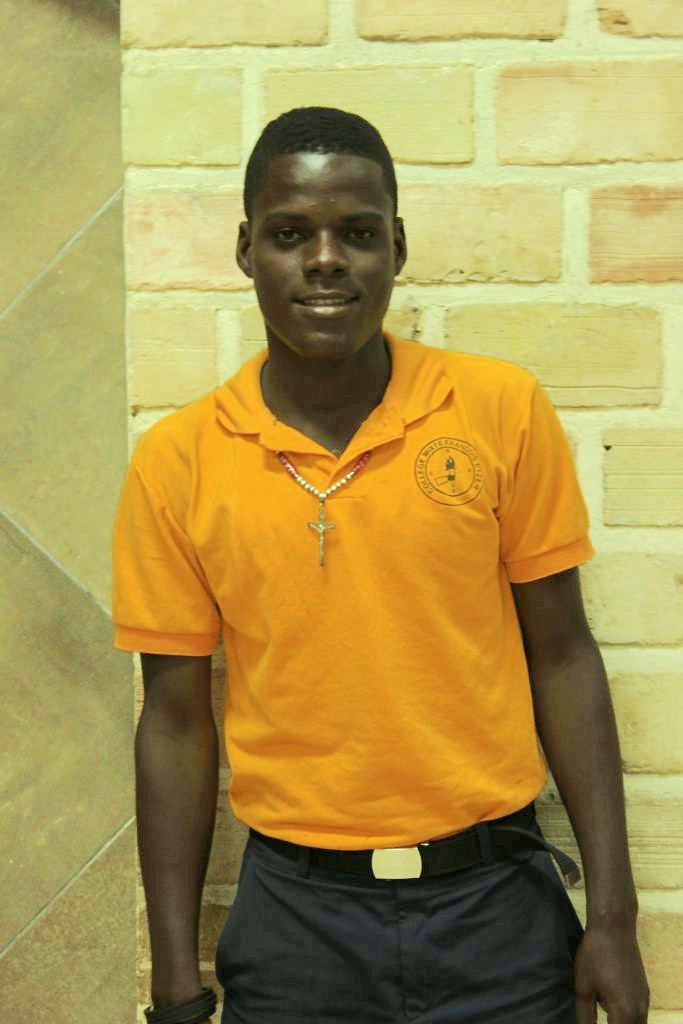 diemsley saint luc 2014