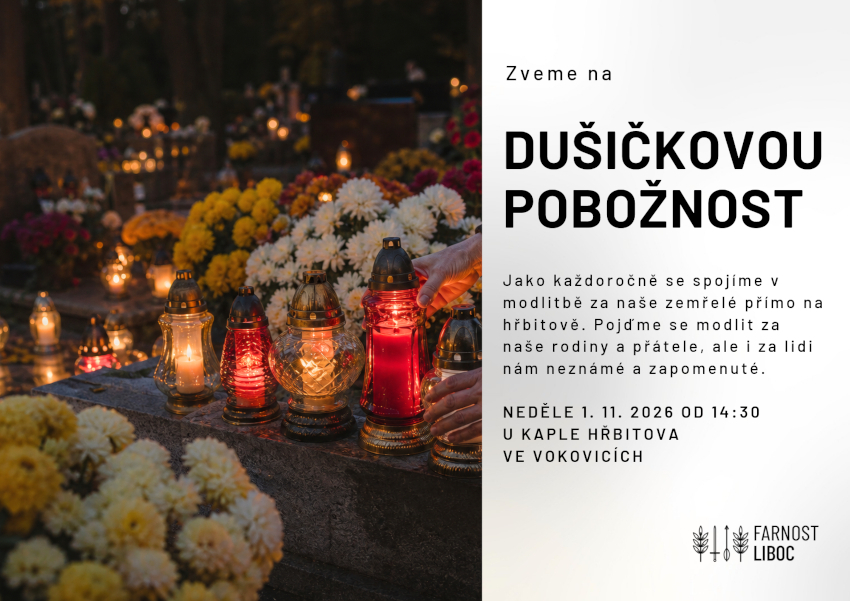 261101 dusicky