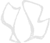 logo cho