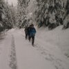 2016 Šumava - chlapi a kluci