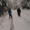 2016 Šumava - chlapi a kluci